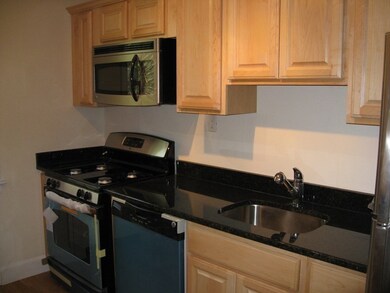 12 Ware St unit 1, Cambridge, MA 02138 - photo 7