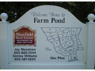 14 Deer Path Ln, Tuftonboro, NH 03816 - photo 3