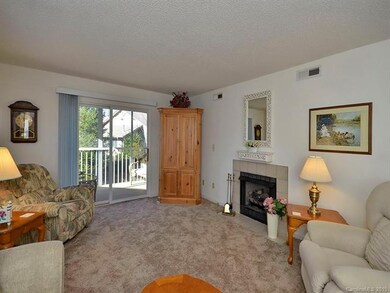 1001 Deermouse Way, Hendersonville, NC 28792 - photo 3