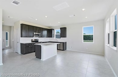 Kitchen with stainless steel appliances, decorati