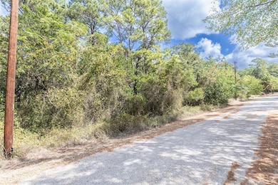LOT 1264 W Kamoi Ct, Bastrop, TX 78602 - photo 5