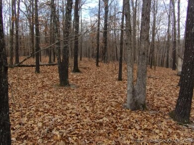 463977 Whitewater Ridge Rd, Proctor, OK 74457 - photo 6