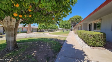 13874 N Newcastle Dr, Sun City, AZ 85351 - photo 4