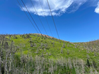 IMG_4149