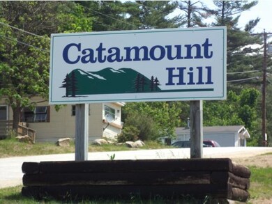 2 Monroe Ave, Allenstown, NH 03275 - photo 6