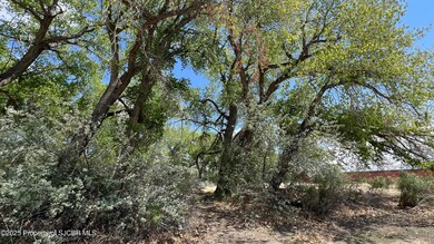 IMG_9786
