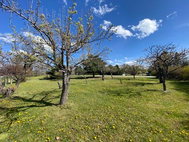 Fruit Trees