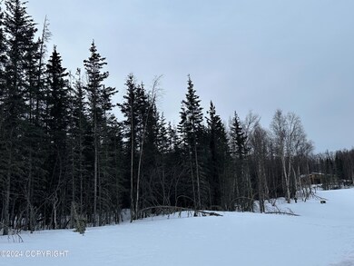 IMG_0831