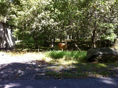 222 Rabbit Ct, Lehman Township, PA 18324 - photo 3