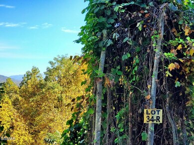 Pine Peak Way Lot 34R 4