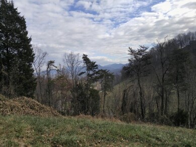 TBD Watauga Rd, Watauga, TN 37694 - photo 2