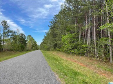 0 Bud Cummings Rd unit 42 1350945, Roanoke, AL 36274 - photo 5