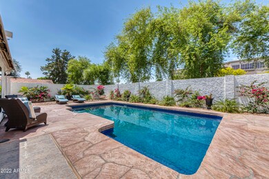 007_Backyard II