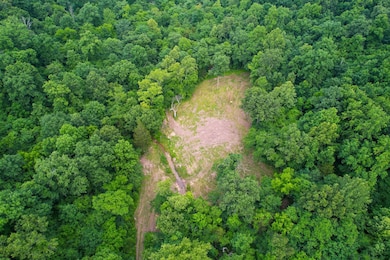 21202 State Highway Mm, Grassy, MO 63751 - photo 7