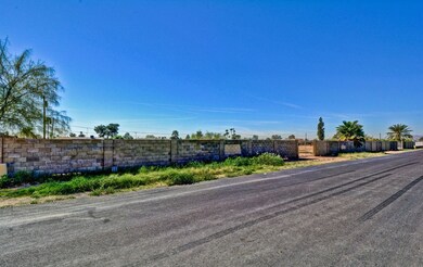 Ocotillo (2)
