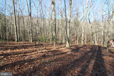 Lot C-54 Trout Stream Rd, Lost River, WV 26810 - photo 7