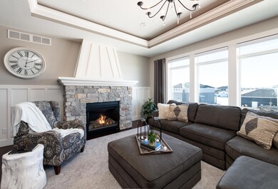 Living Room fireplace