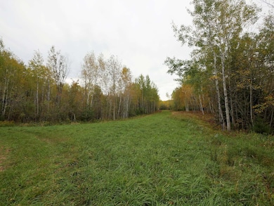 40 acre 4