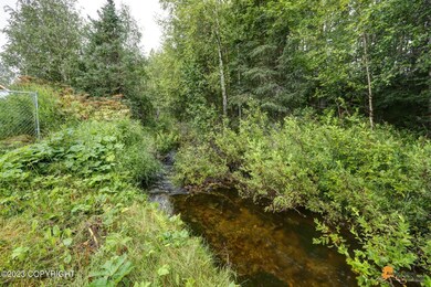 Creek off the back yard