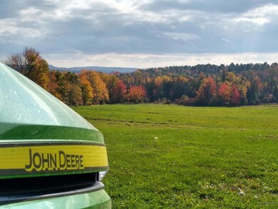 Fall View