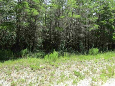 Lot 9 Sea Meadows Dr, Perry, FL 32348 - photo 4