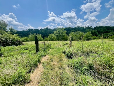 1658 Weems Rd, Southside, TN 37171 - photo 6