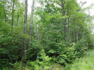 NEAR Hwy 86, Tomahawk, WI 54487 - photo 3