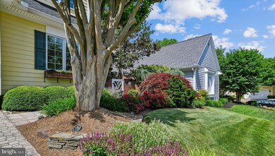 214 Spring Race Ct, Annapolis, MD 21401 - photo 4