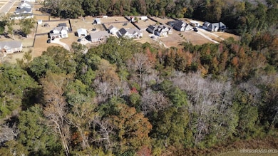 2318 County Road 622, Enterprise, AL 36330 - photo 3