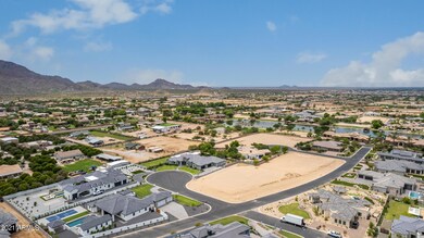 13-Joshua Tree
