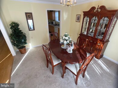 7320 Summerwind Cir, Laurel, MD 20707 - photo 7