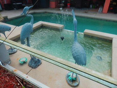 Pool:spa