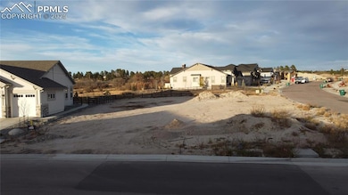 4272 Horse Gulch Loop, Colorado Springs, CO 80908 - photo 3