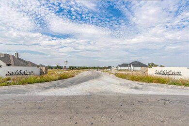 401 Pommel Ct, Weatherford, TX 76088 - photo 3