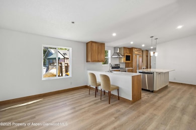 161 James Cir, Carbondale, CO 81623 - photo 2