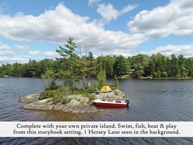 island 3, label