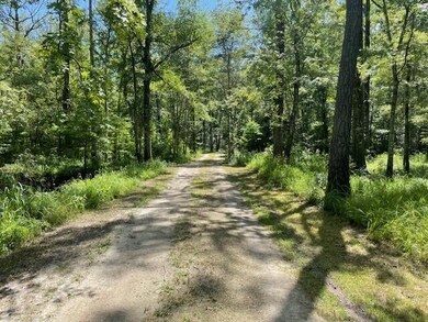 Road