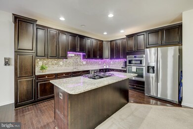 23259 Hanworth St, Ashburn, VA 20148 - photo 6