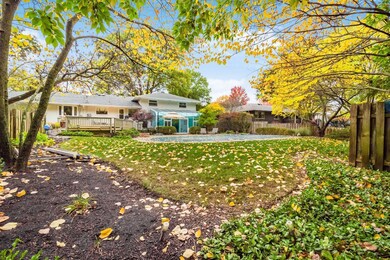 back yard