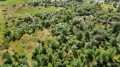 31208 Lebor Devore Rd E, Eatonville, WA 98328 - photo 4