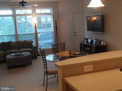 7245 Darby Downs unit 7245, Elkridge, MD 21075 - photo 6