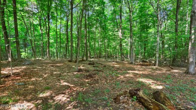 0 June Rd Stamford CT 06903-large-002-00