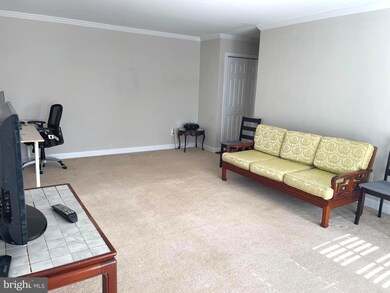 3332 Spring Ln unit C-20, Baileys Crossroads, VA 22041 - photo 3