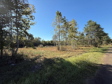 TBD Farm To Market 1004, Call, TX 75933 - photo 2