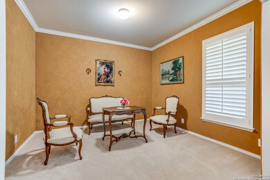 24106 Range Water, San Antonio, TX 78261 - photo 7