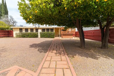 Over-sized Rear yard