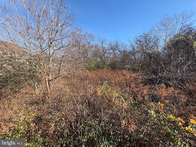 7327 E Furnace Branch Rd, Glen Burnie, MD 21060 - photo 2