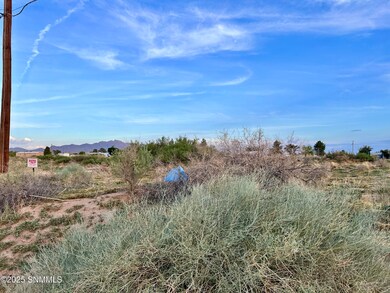TBD Shrode Rd, Anthony, NM 88021 - photo 5