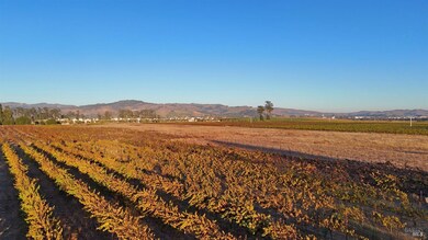 2110 Cuttings Wharf Rd, Napa, CA 94559 - photo 5