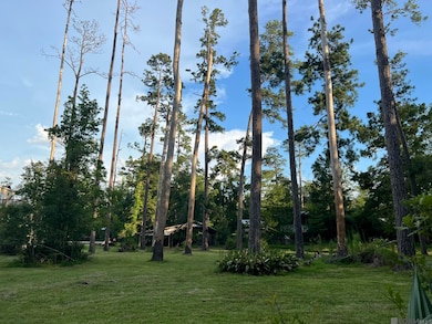 21750 Rosemound Ln, Springfield, LA 70462 - photo 6